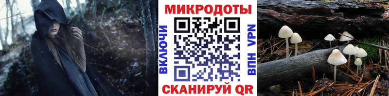 МЕГА ссылка  продажа наркотиков  Алагир  Псилоцибиновые грибы Magic Shrooms 